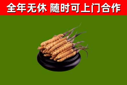 淇滨烟酒回收冬虫夏草.jpg