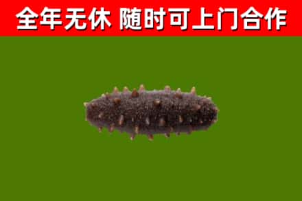 淇滨烟酒回收干海参.jpg